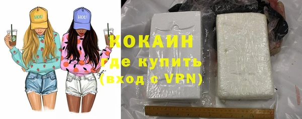 винт Абаза