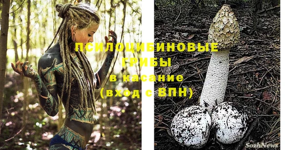 винт Абаза