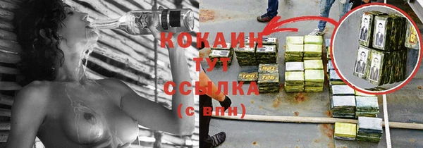 спиды Осинники