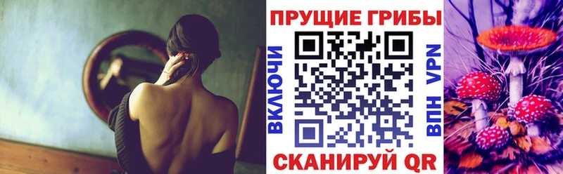 Галлюциногенные грибы GOLDEN TEACHER  даркнет сайт  Камышлов 
